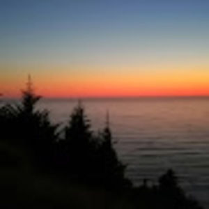 Meet your Posher, Ann